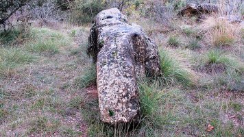 Oiangibela zutarria, Santsoain-Leotz