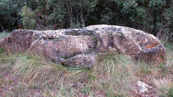 Oiangibela zutarria, Santsoain-Leotz