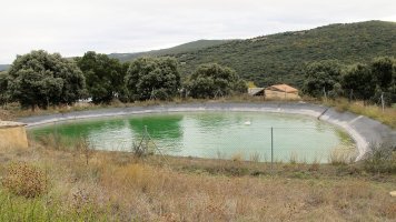 Musker-Iriberri baltsa, Leotz