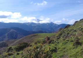 Orhi, Bosmendietatik