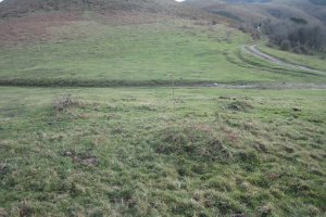 Cromlech Espide (Noviembre 2018)