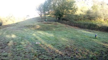 Larrondo trikuharria 4