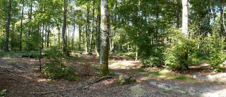 Mugarrihautsiko gailurra