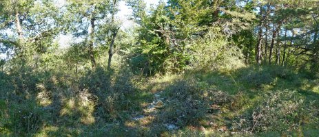 Baltsaundiko gailurra