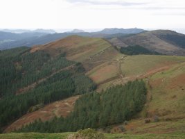 Betaio Alendik ikusita