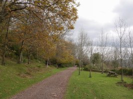 Alen herrixkara iristen