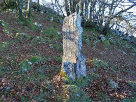 Arrietabaso Zutarria