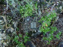 Tako geodesikoa, Ostaitako gailurrean