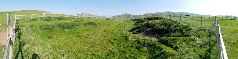 Udaren hasierako itxura