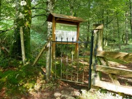 Leitzalarreako izeiak, sarrera.