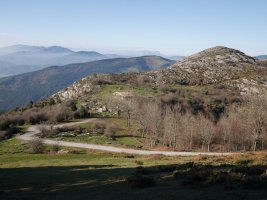 La Berenilla aterpea eta Arboriko tontorretako bat