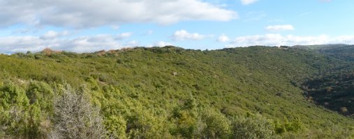 Portillua, hegoaldeko isurialdea