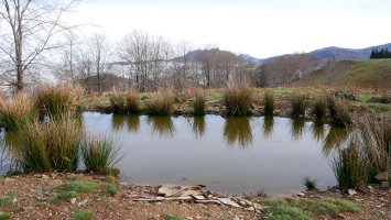 Urmael artifiziala Aldurako bizkarrean