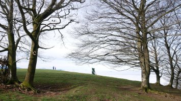 Aldura, tontorraren inguruak