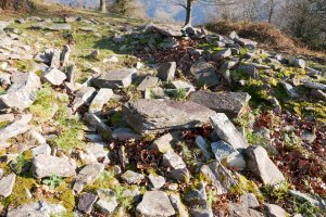 ARRITXIETA trikuharria