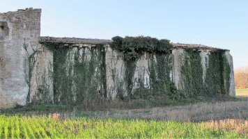 San Pedro ermitaren hondakinak, Garinoain