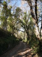 Ibilbideko pasarte bat