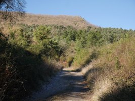 Eskorieta ekialdetik ikusita