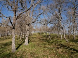 Hegoaldeko magaleko bidea