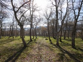 Hegoaldeko magaleko bidea