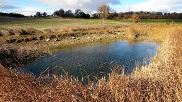 Balsa del Prado del Escribano, Garinoain