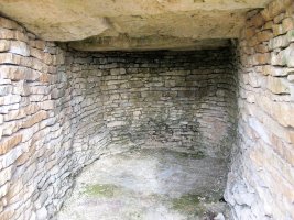 Longar hipogeoa, Viana