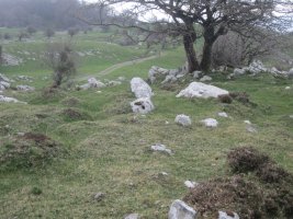 Dólmen Etzantza*  (Abril 2015)