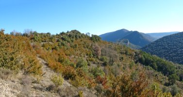 Montetesko gainaldea