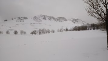 Zabalaitz (2019-ko otsailak 3)