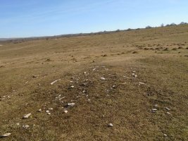 camino de arratondo mendebalde 2