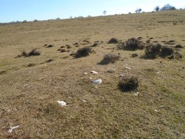 camino de arratondo mendebalde 3