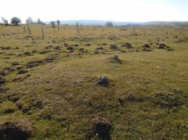 iruleze hego 5 tumulua