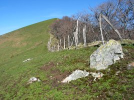 Tontorra HEko bizkarretik