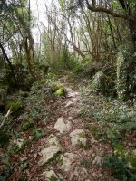 Txoritokietako igoera