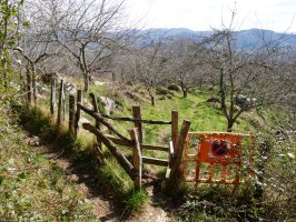 Hesiaren ezker aldetik jarraituko dugu