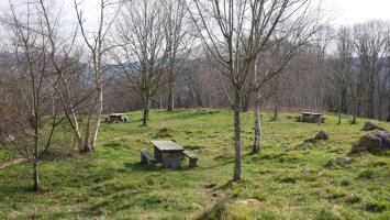 Berrozpingo aisigunea