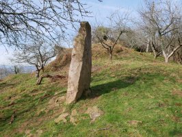 Txoritokieta zutarria