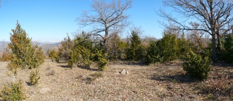 Iparraldeko gailurra, Petikerlo izenekoa