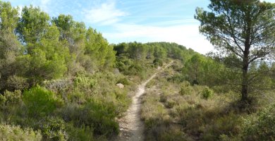 Gainaldean barrena doan bidea