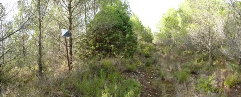 Sierra Bajako gailurra