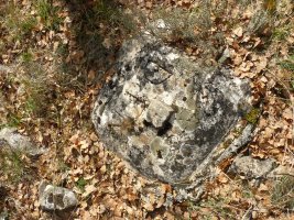 Tako geosesikoa gailurrean