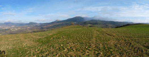 Akarregiko gailurra, soro batek hartuta