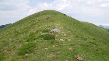 Mandoegiko HEko bizkarra