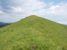 Mandoegiko HEko bizkarra