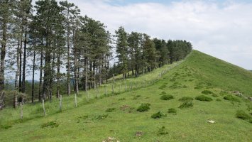 Altzegi HMko bizkarretik