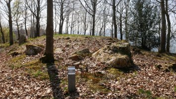 Arreginea harrespila