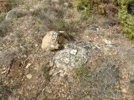 Tako geosesikoa gailurrean