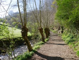 Erreka bazterreko bidea, Karrika