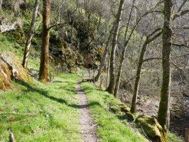 Xorrolako trenbide zaharraren arrastoan