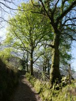 Ezkorrin aldeko bidea